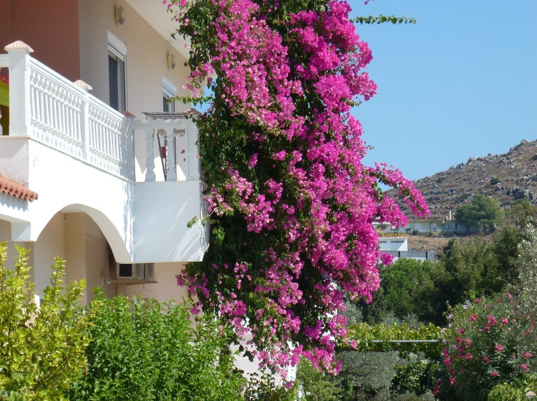 Archipoli酒店住宿-Varelis Pension