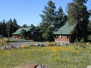 Eagar酒店住宿-Snowy Mountain Lodge