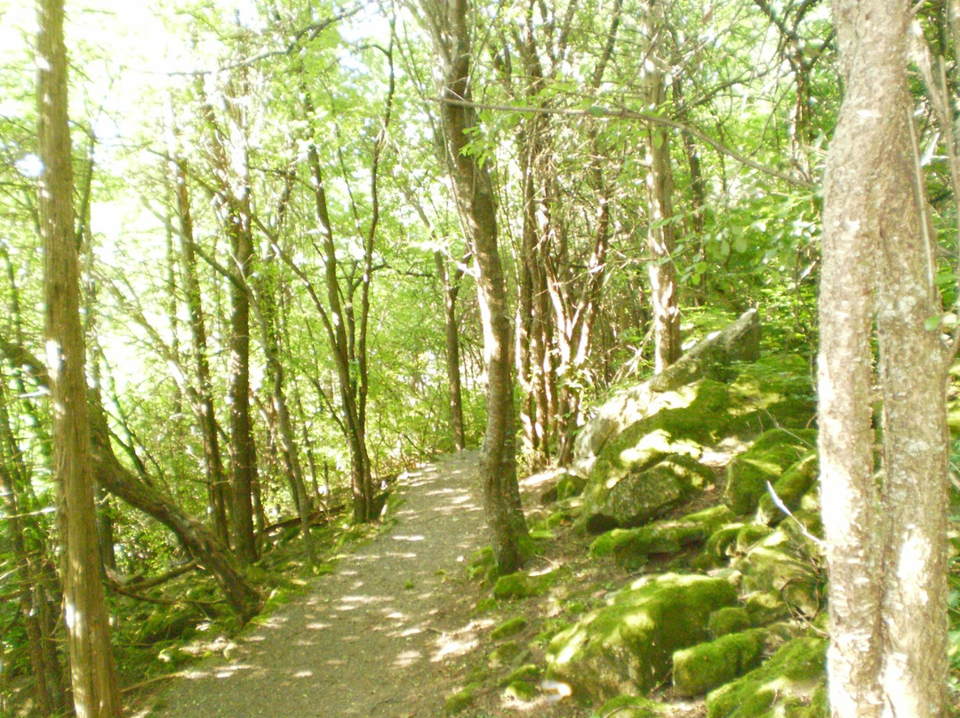 Mount Independence State Historic Site-Orwell必去景点