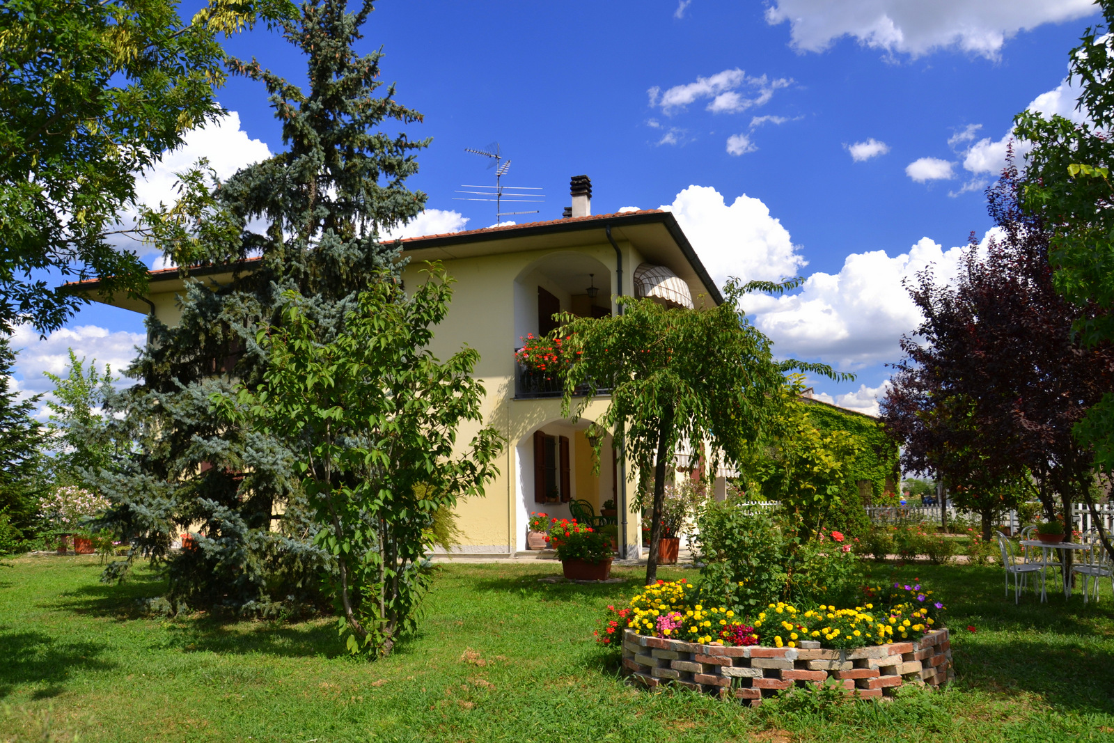 B&B Il Pavone-官方