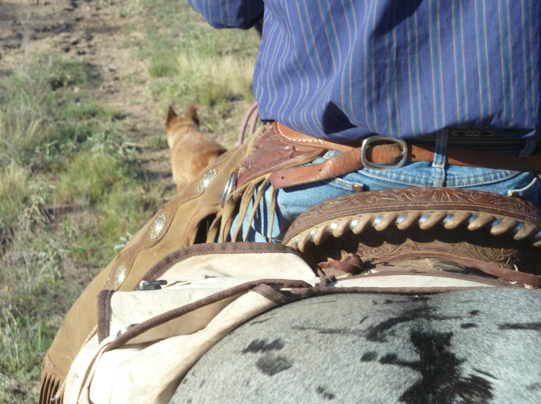 Cowboy Way Adventures-Wickenburg必去景点