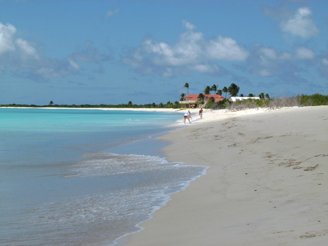 Low Bay-巴布达必去景点