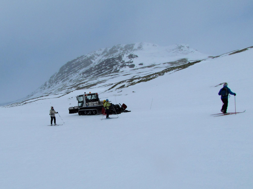 Rondane National Park景点图片