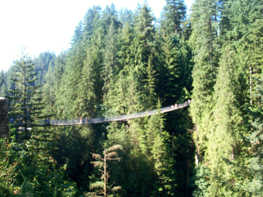 卡皮拉诺吊桥及公园-北温哥华必去景点