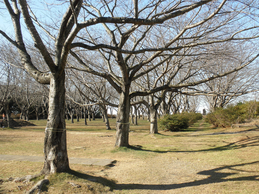 Ruins of Kashima Castle景点图片