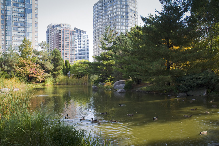 Kariya Park-米西索加必去景点