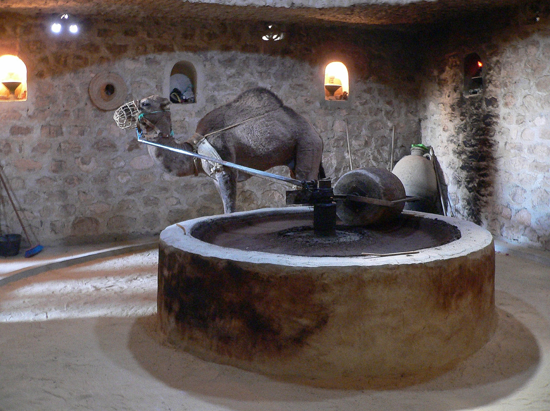 Musee De Guellala-杰尔巴岛必去景点