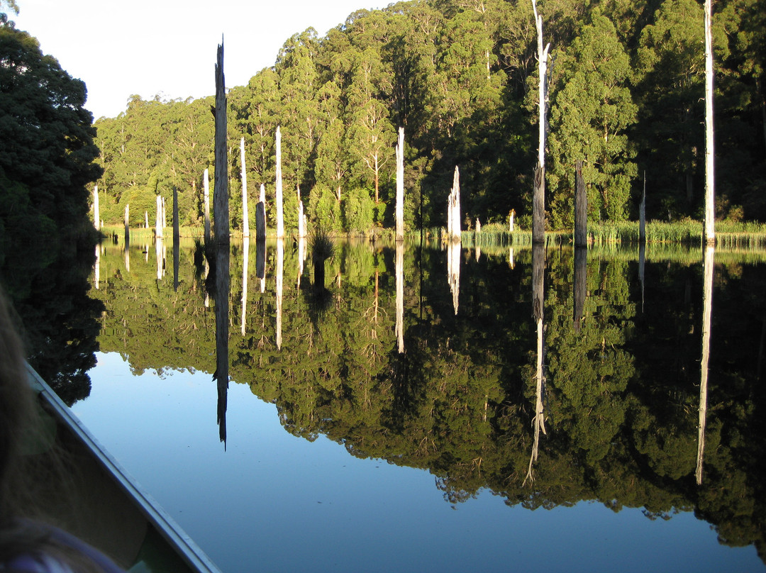 Paddle with the Platypus-Forrest必去景点