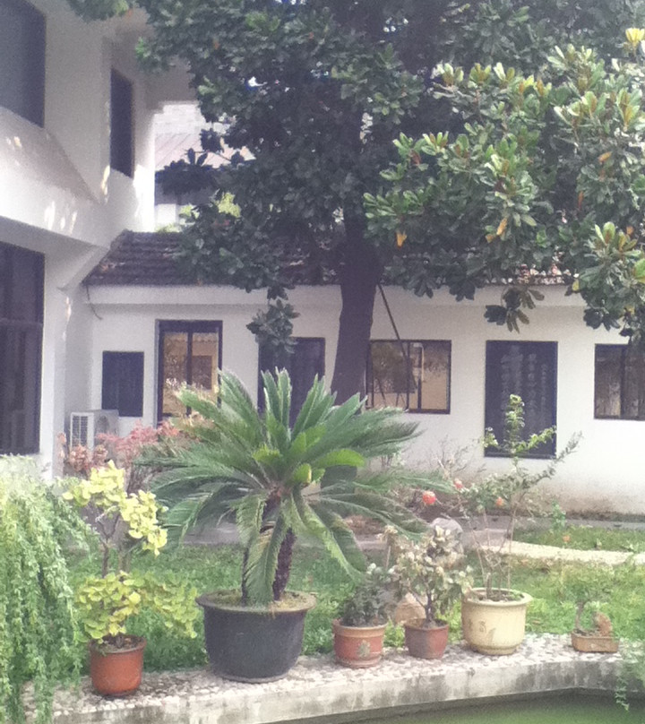 王学仲艺术馆-滕州市必去景点