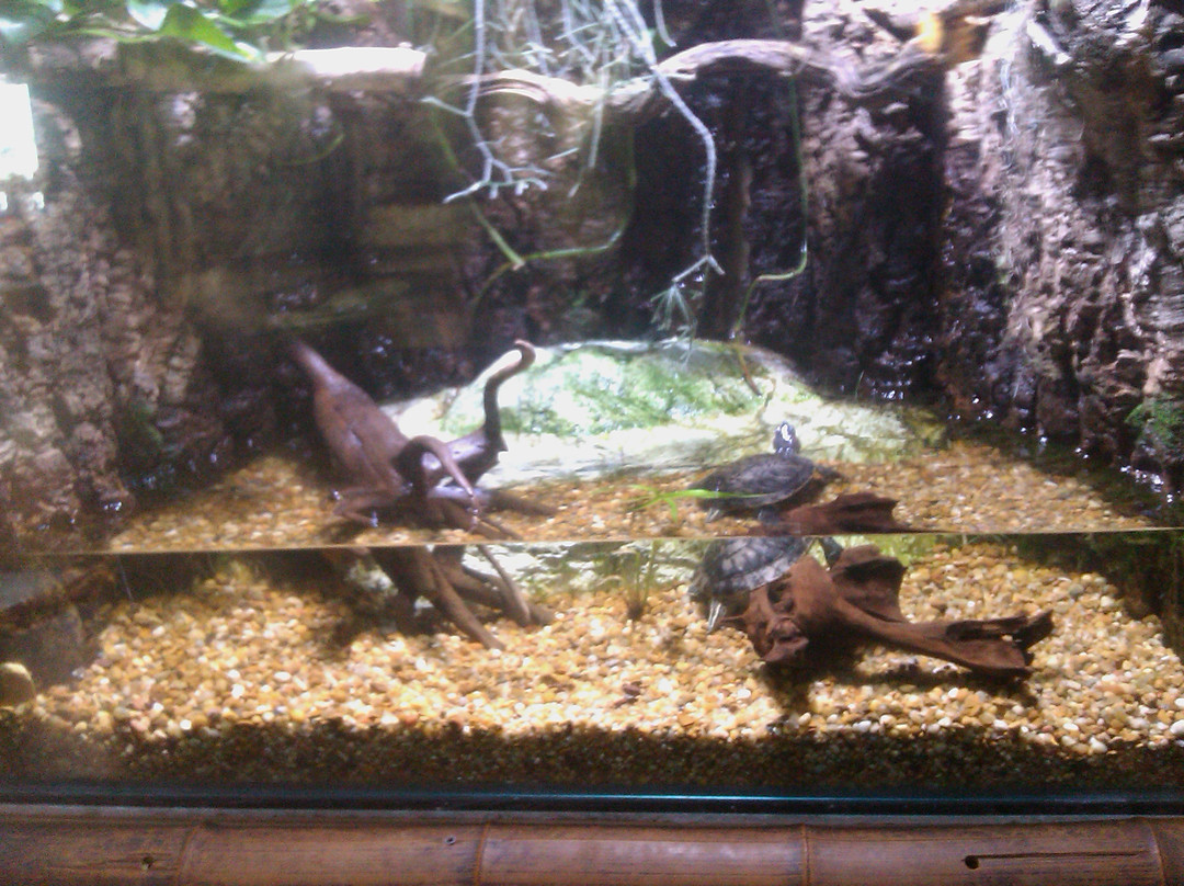 Underwater Observatory Marine Park-埃拉特必去景点