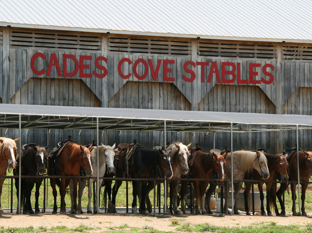 Cades Cove Riding Stables-汤森必去景点