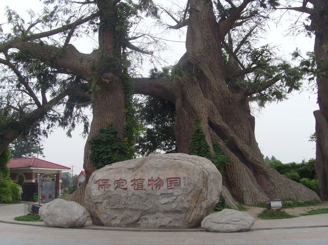 保定植物园-保定市必去景点