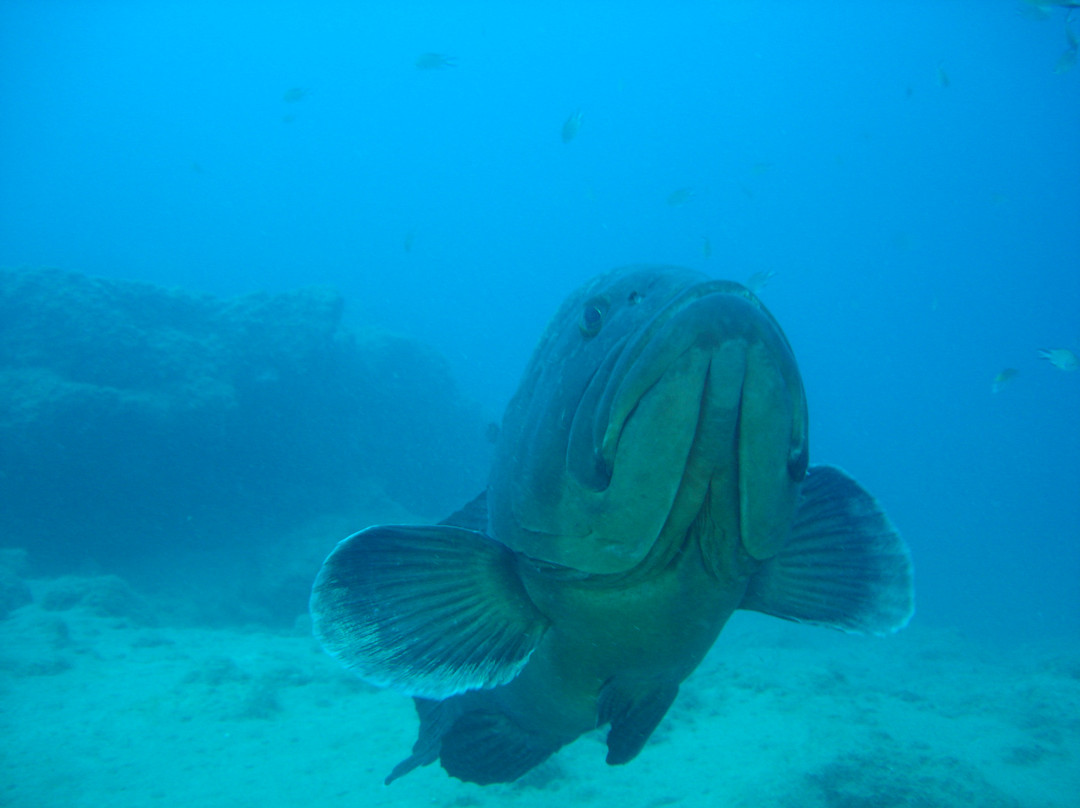Canary Island Divers Lanzarote-卡门港必去景点