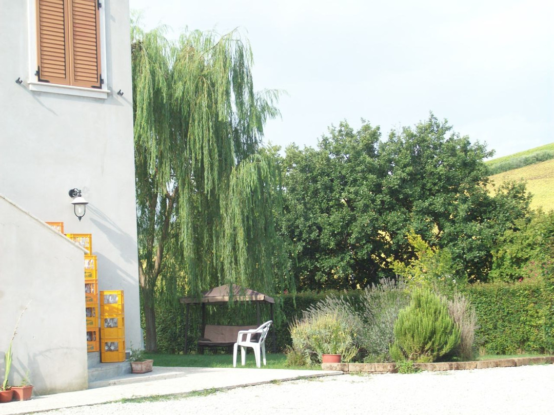 La Tenuta Del Conte B&B主图