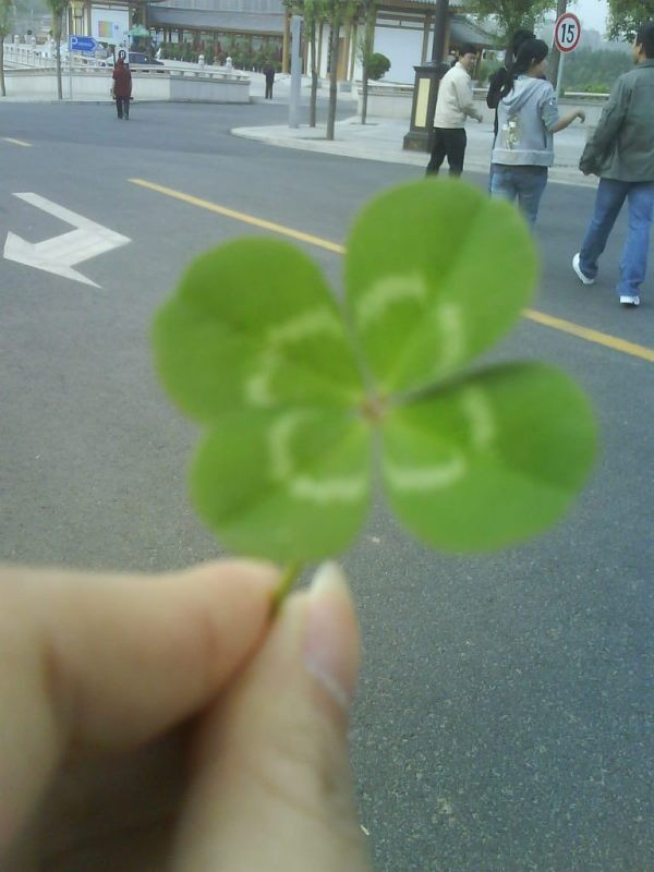 曲江旅游度假区-西安市必去景点