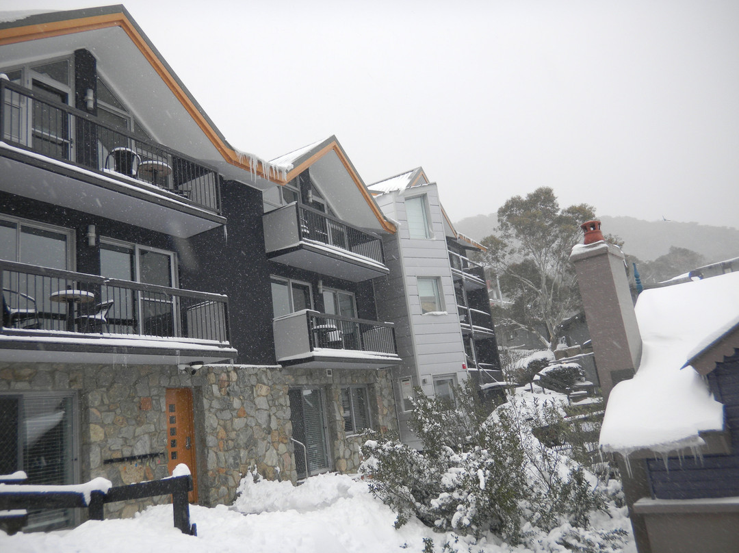 雪鹅公寓