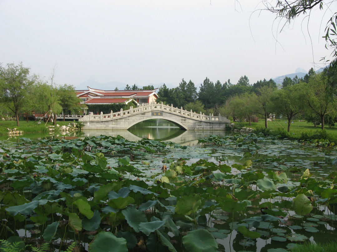 天福茶博物院-漳浦县必去景点