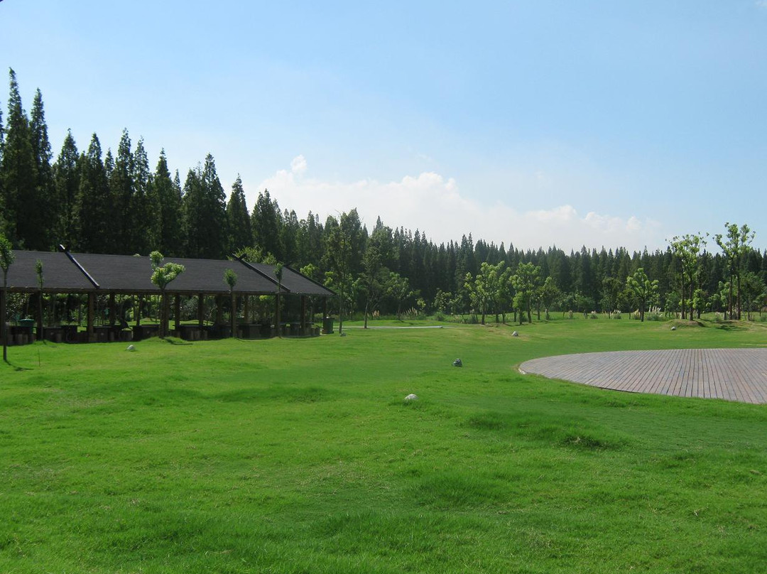 东平国家森林公园-崇明县必去景点