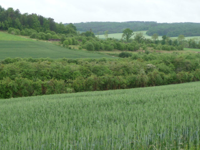 Ville-Sous-La-Ferte旅游攻略图片