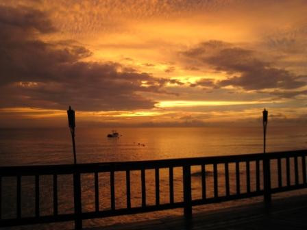 Panama Divers PADI Dive Resort景点图片