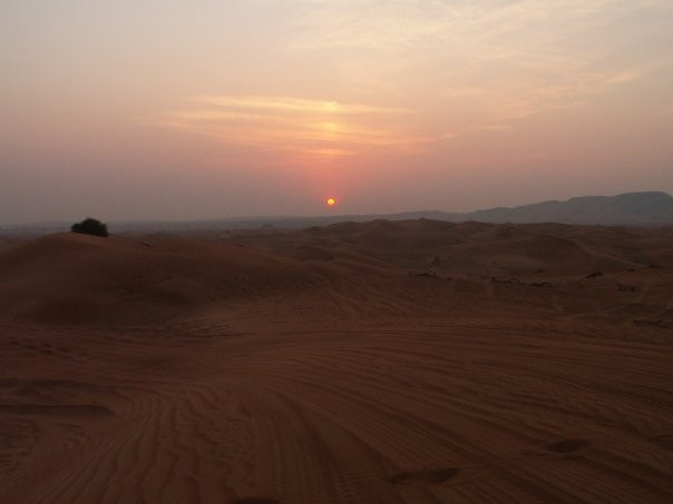 Arabian Nights Tours LLC景点图片