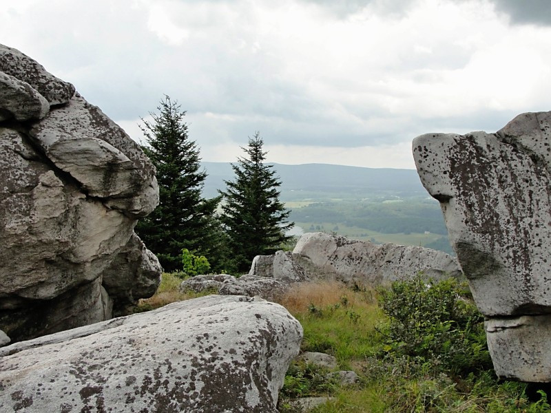 Dolly Sods Wilderness Area-Elkins必去景点