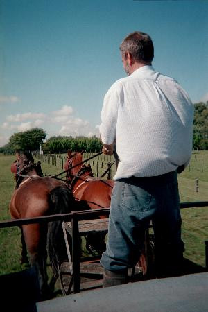 Estancia Los Dos Hermanos景点图片