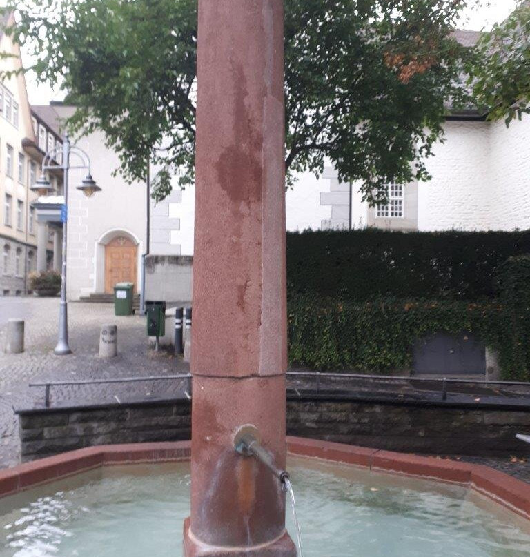 Wilborada-Brunnen-圣加仑必去景点