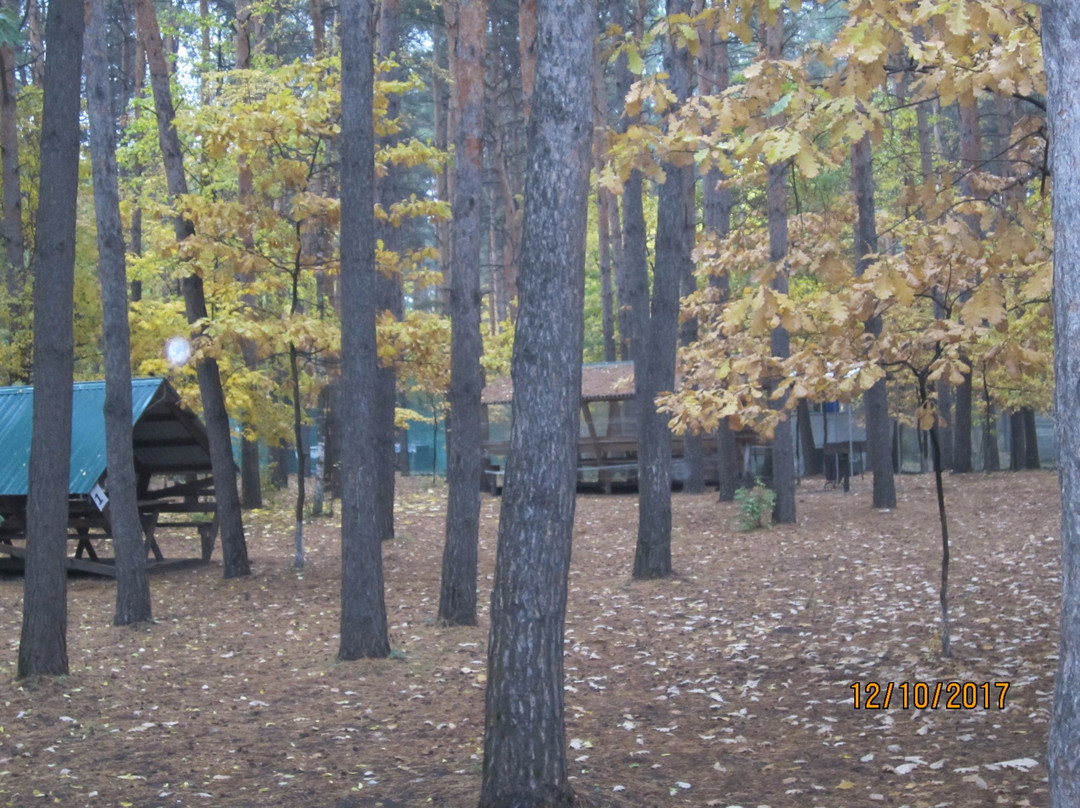 Street Hunter Painball Club-Lipetsk必去景点