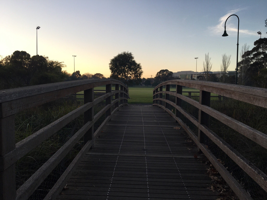 Percy Treyvaud Reserve