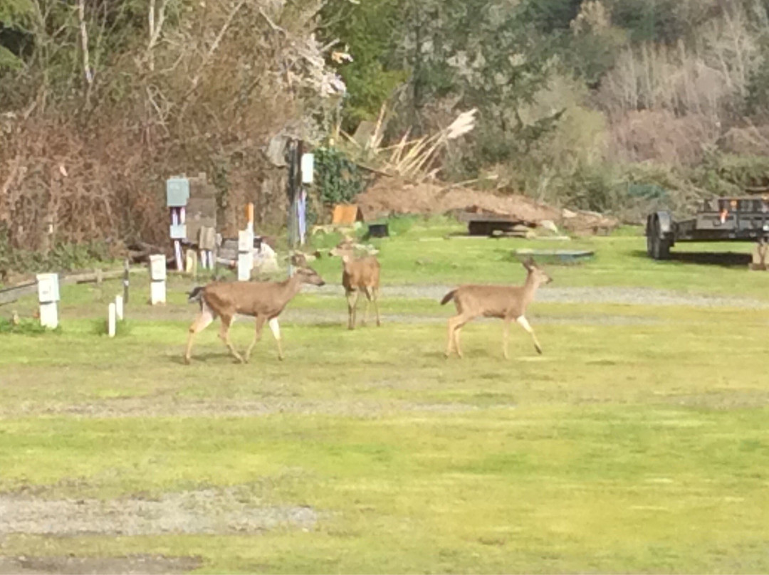 River's Edge RV Park