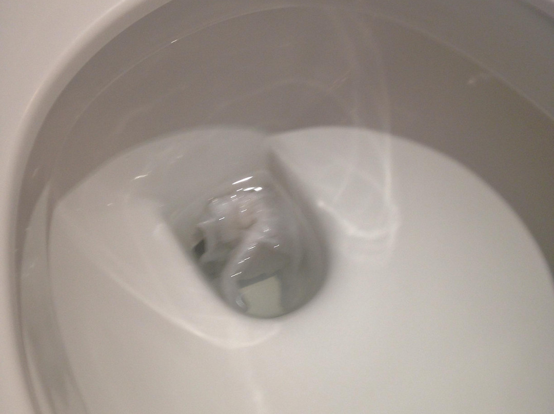 Garden Restaurant at Jacksons Hotel