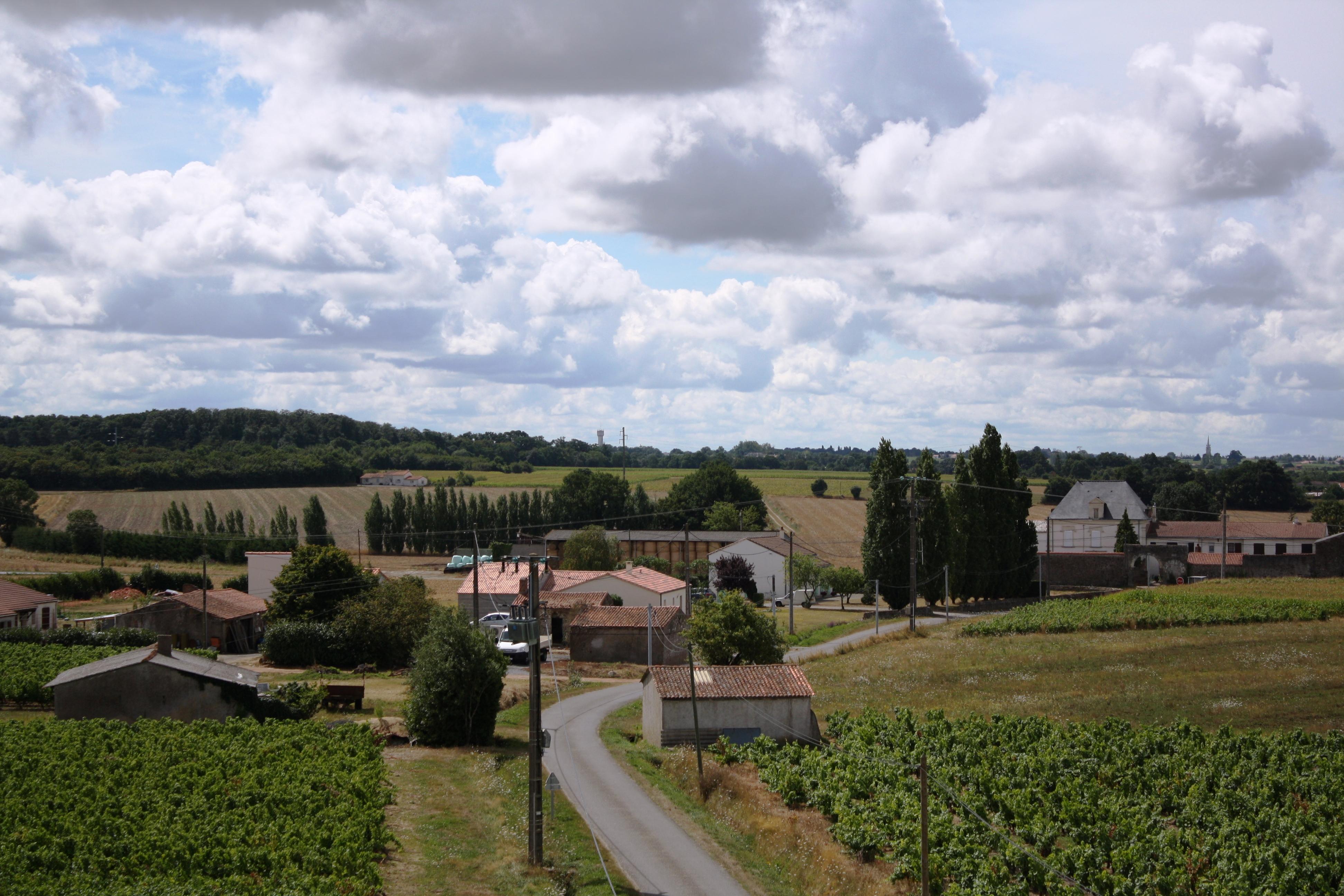 Moulin du Patis-Coraud-酒店景观