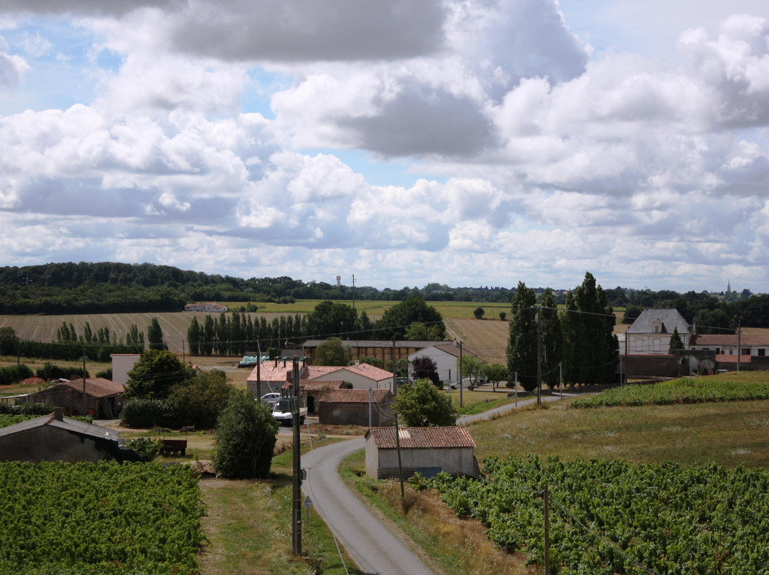 Saint-Sauveur-de-Landemont旅游攻略图片