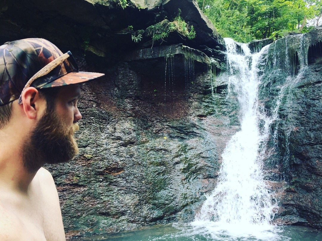 Chedoke Falls景点图片