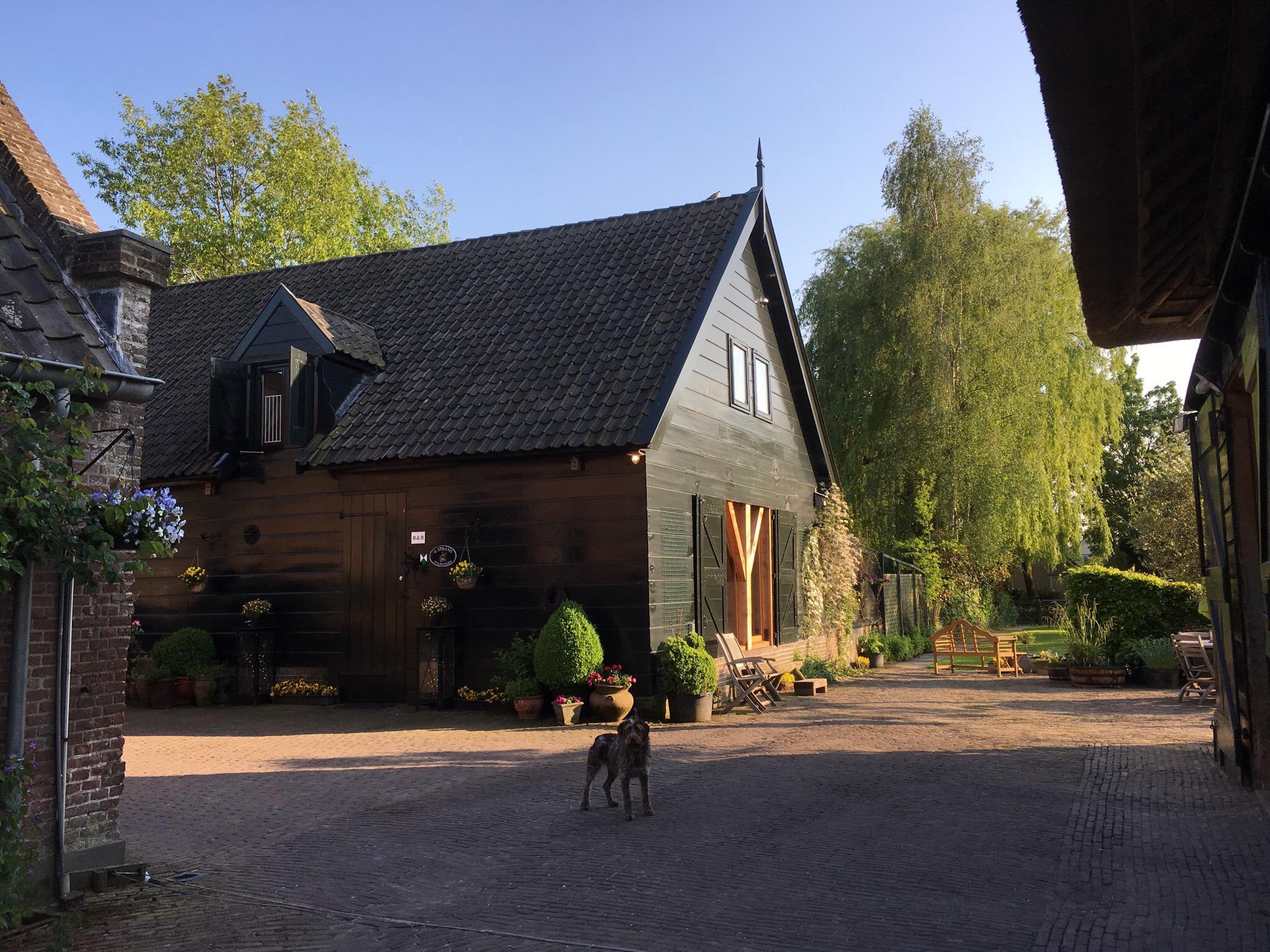 Bed and Breakfast Stigtenbleij-浴室