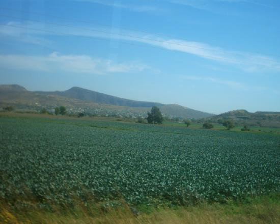 Valle de Santiago旅游攻略图片