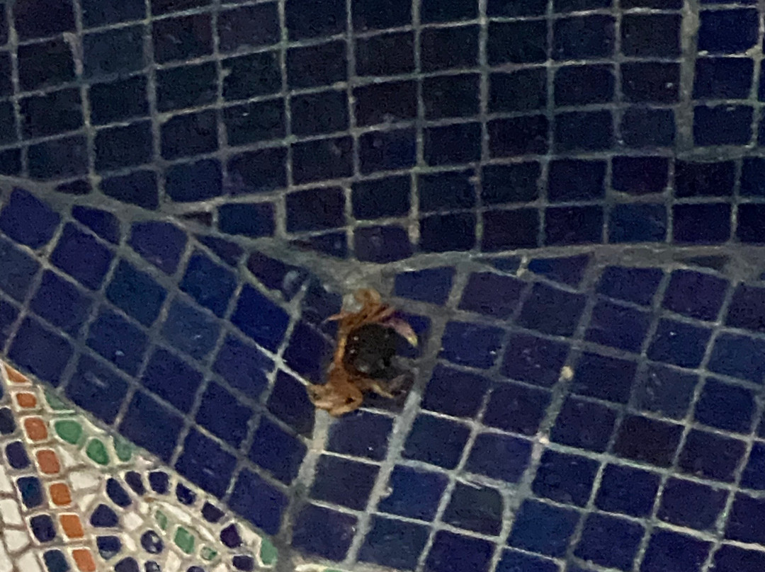 Hotel Las Tortugas主图