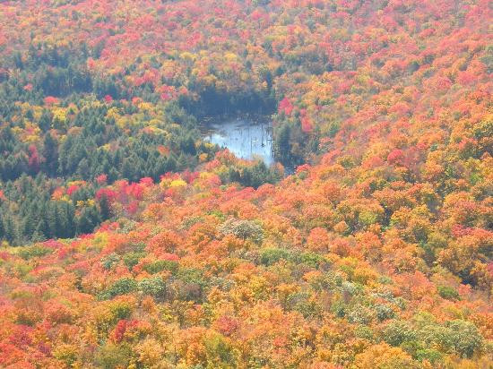 乔治湖-乔治湖必去景点