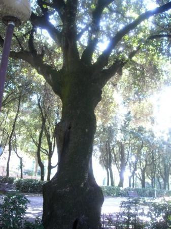 Giardini del Frontone-佩鲁贾必去景点