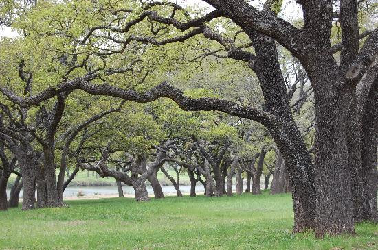 Lyndon B. Johnson National Historical Park-Johnson City必去景点
