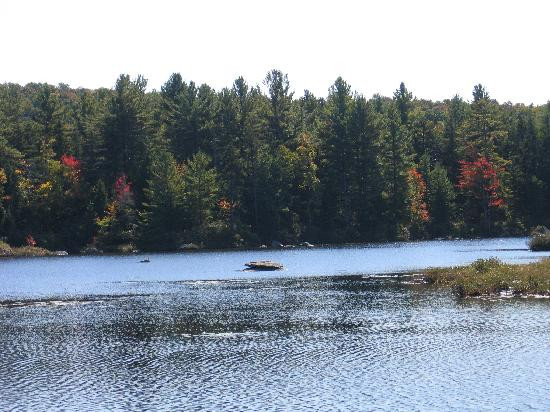 Pillsbury State Park景点图片