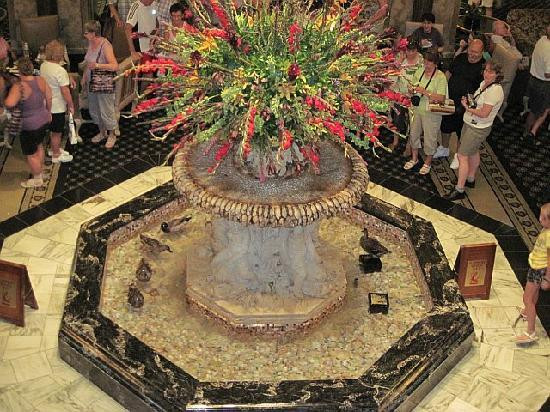 The Peabody Ducks-孟菲斯必去景点