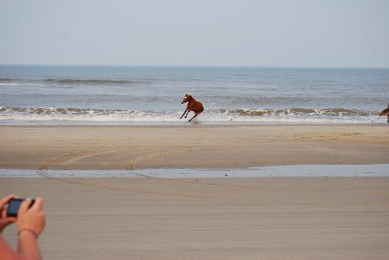 野马冒险之旅-卡罗拉必去景点