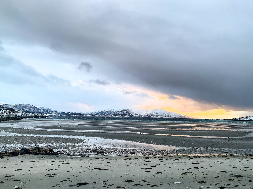 Evenesvika-Evenes必去景点