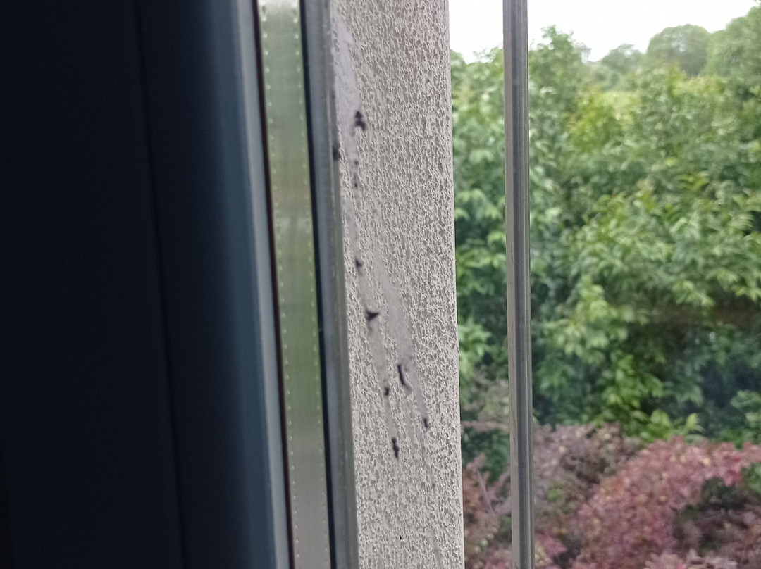 Hotel Borgo Nuovo主图