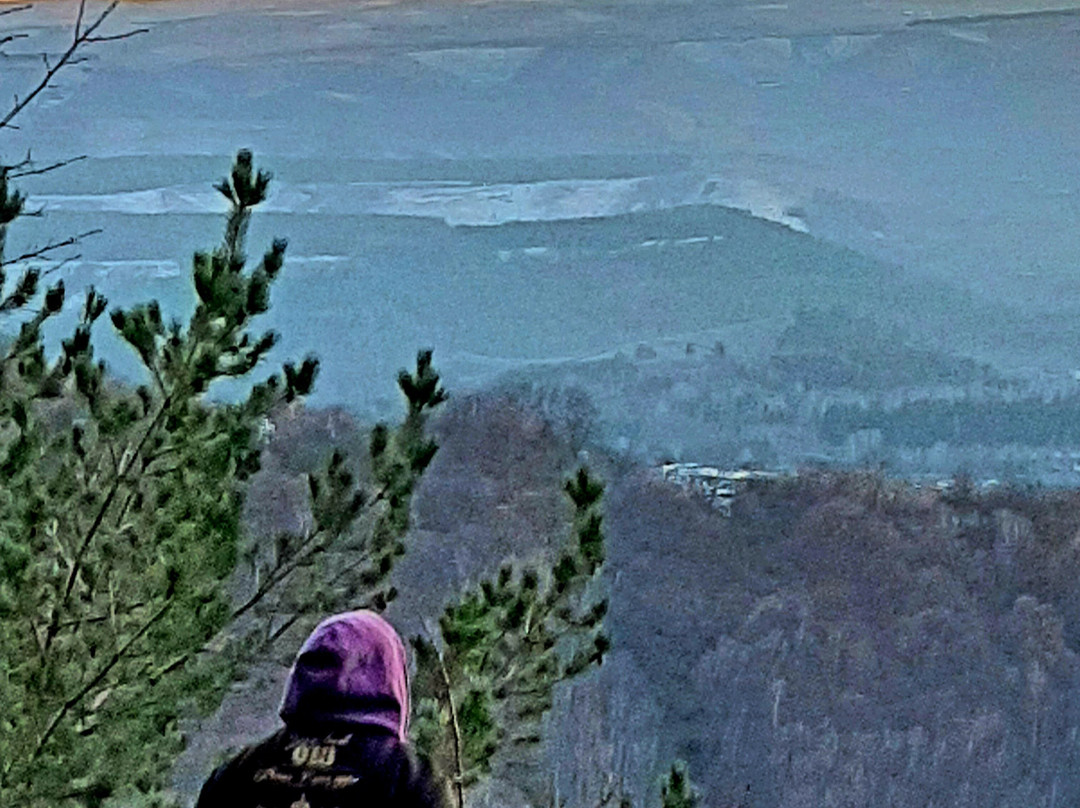 Sanatorium Kolos主图