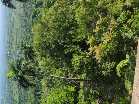 Dominican Vip Transfers-普拉塔港必去景点