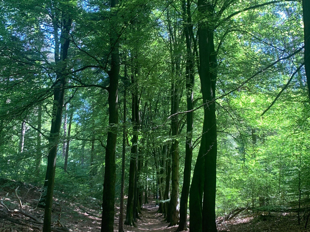 Nationaal Park Veluwezoom-Rheden必去景点