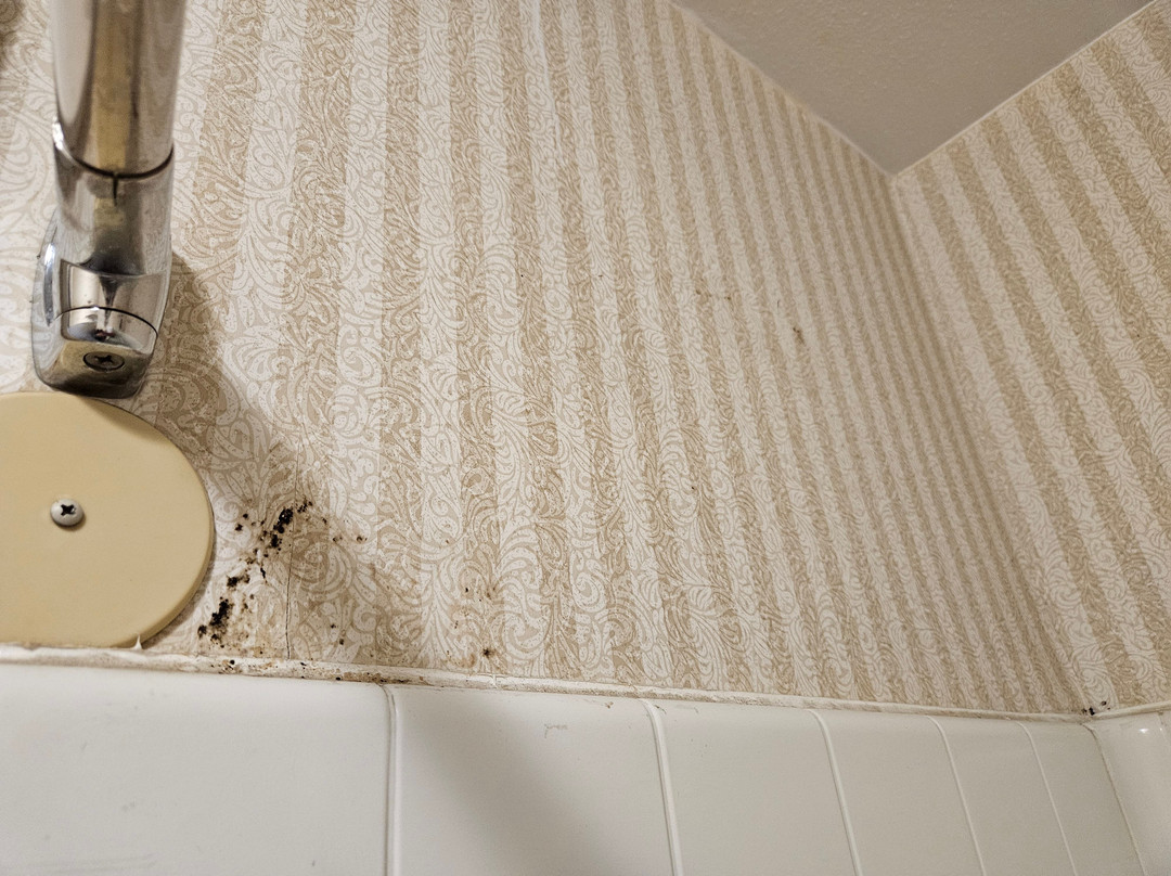 Spark By Hilton Santa Nella主图